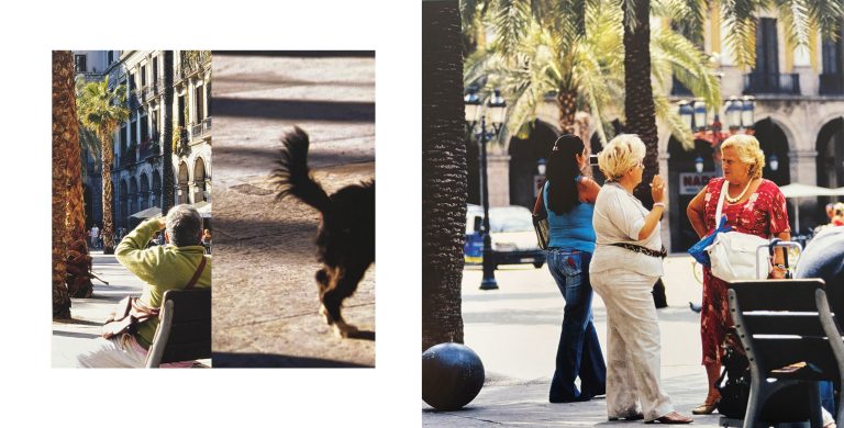 Dreiteilige Bildkomposition aus einer belebten Platzsituation in Barcelona. Links sitzt eine Person auf einer Bank unter Palmen und blickt auf die historische Arkadenarchitektur. In der mittleren Aufnahme läuft ein kleiner Hund über den sonnenbeschienenen Platz, nur teilweise im Bild sichtbar. Rechts unterhalten sich zwei ältere Frauen lebhaft im Schatten der Palmen, während im Hintergrund weitere Passantinnen und Passanten sowie die umliegenden Gebäude den urbanen Alltag der Plaça Reial prägen.